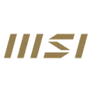MSI