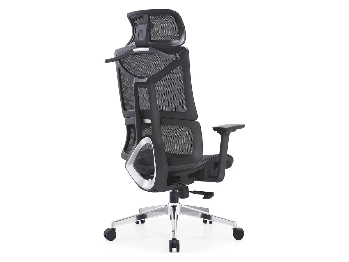 The back of the Vival chair, showing its moulded frame, aluminium lumbar ring, two-panel mesh back and polished five-star base
