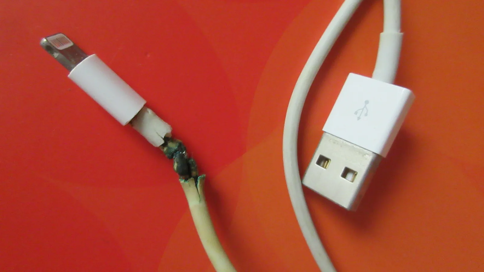 Kabel pengecas Apple putih yang terbelah tepat di bawah penyambung Lightning, mendedahkan wayar dalaman yang terkopek dan menghitam, dengan palam USB-A kabel itu di sebelahnya pada permukaan merah